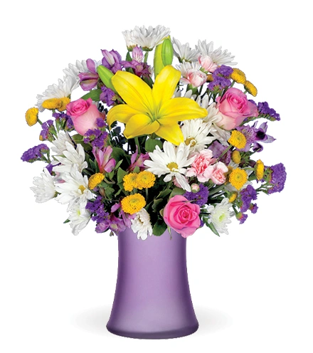 ✨Y. K✨ Daisy Smiles | Blooms Today