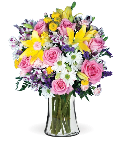 ✨Y. K✨ European Garden | Blooms Today