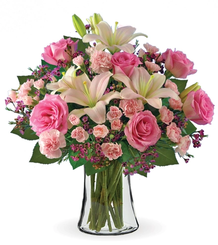 Pink Celebration