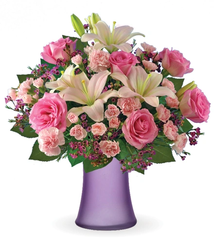 Pink Celebration | Blooms Today