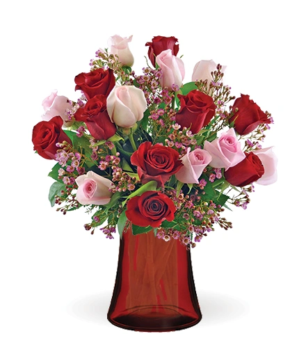 201519_7779.webp
