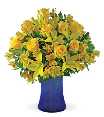 sui　0324 Citrus Smiles | Blooms Today