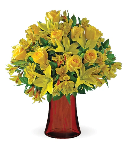 Citrus Smiles | Blooms Today