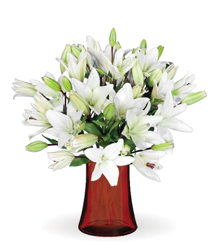Lilly　0710 202471_7779.webp