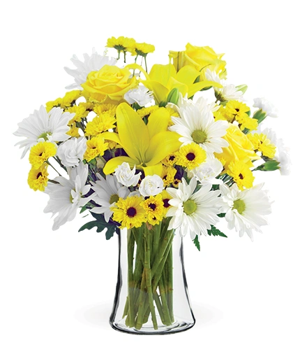 Delightful Sunshine | Blooms Today