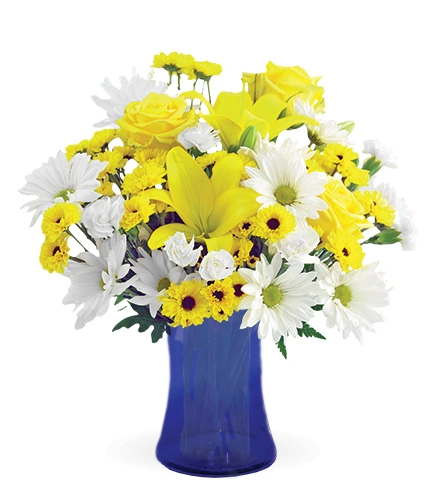 Lemon 52、53、85 Citrus Smiles | Blooms Today