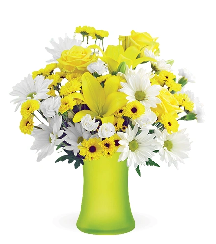 Delightful Sunshine | Blooms Today