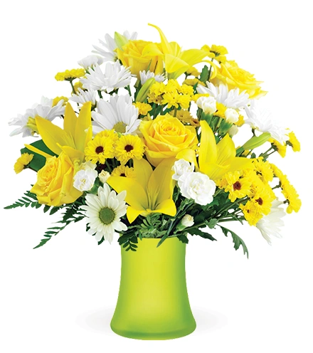Delightful Sunshine | Blooms Today