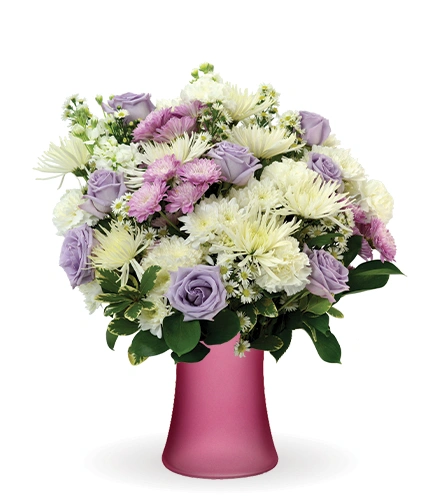 _aka626 Pink Serenade | Blooms Today