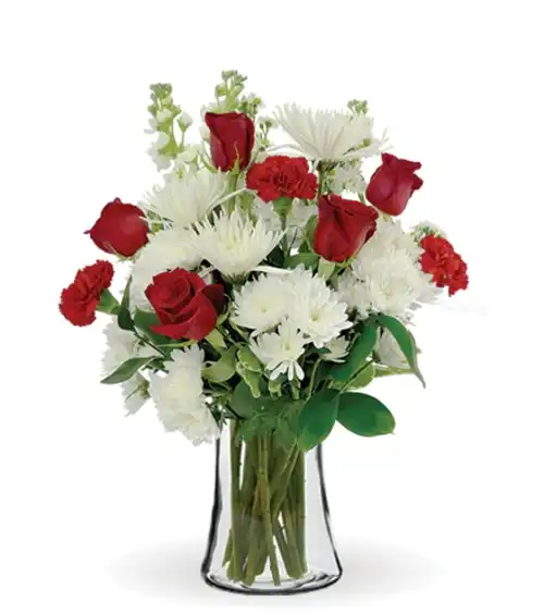 Treasured Love Red & White | Blooms Today