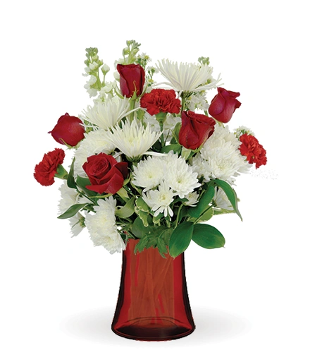 Treasured Love Red & White | Blooms Today