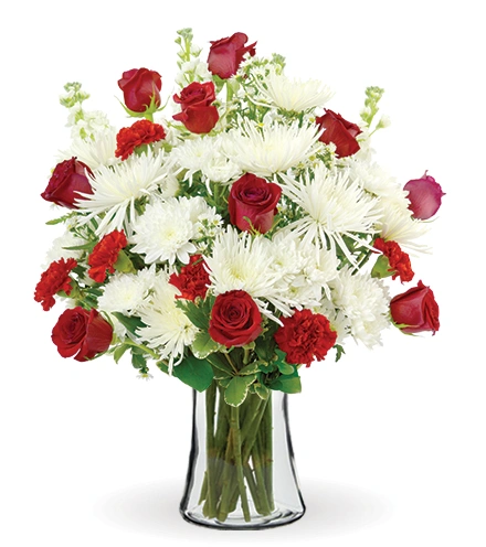 Treasured Love Red & White | Blooms Today