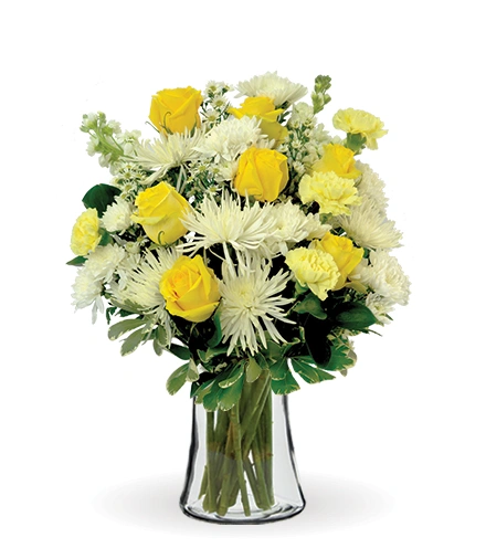Treasured Love Yellow & White | Blooms Today