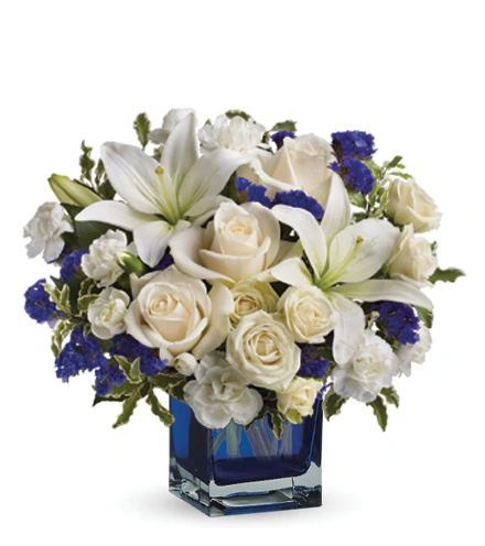 Sapphire Skies | Blooms Today