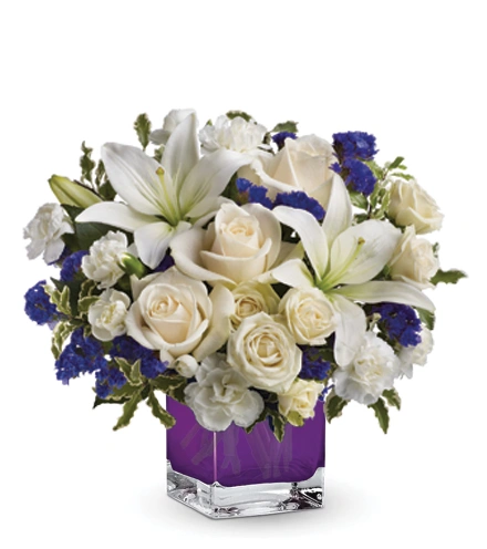 Sapphire Skies | Blooms Today