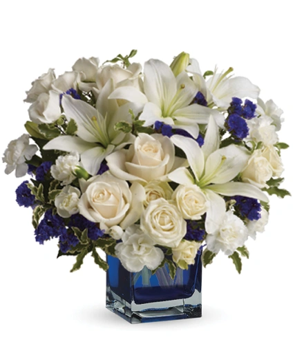 Sapphire Skies | Blooms Today