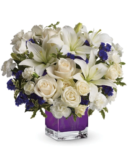 Sapphire Skies | Blooms Today