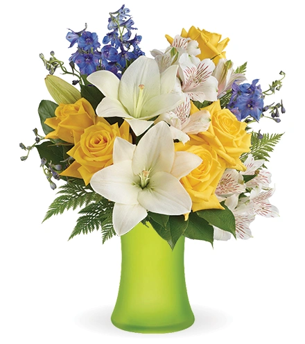 Oceanside Garden | Blooms Today