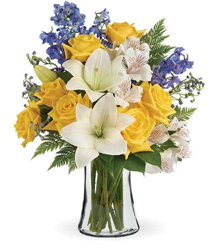 Oceanside Garden | Blooms Today