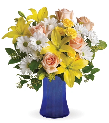 Daisies and Sunbeams | Blooms Today