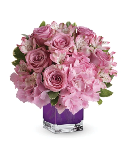 Be Sweet | Blooms Today