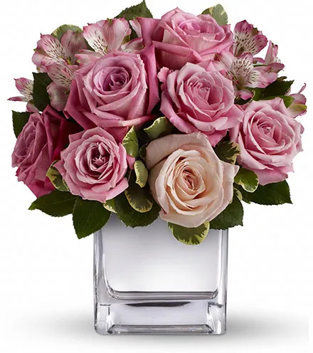 • . ローズ ꪆৎ ˚ Rose Rendezvous | Blooms Today