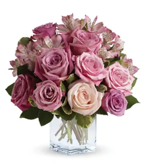 Rose Rendezvous | Blooms Today