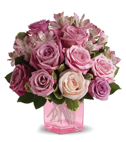 Rose Rendezvous | Blooms Today