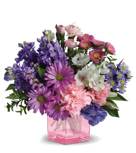ＳＨＯＷ－ＹＡ 204612_207069.webp