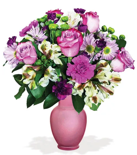 Purple Charm | Blooms Today