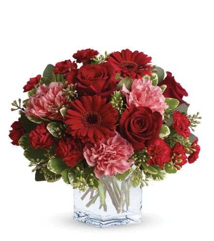 Together Forever | Blooms Today