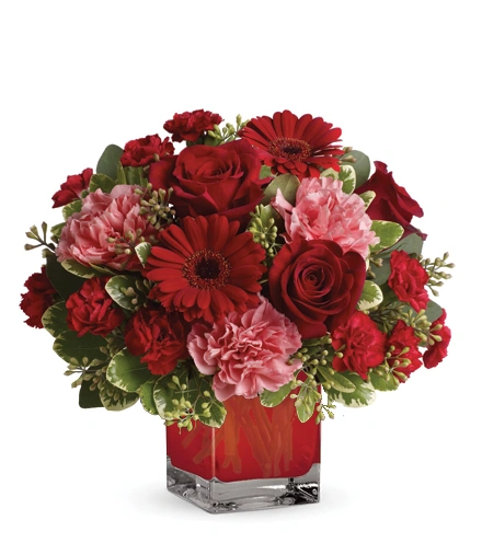 Together Forever | Blooms Today