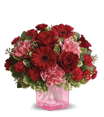 Flowers bloom,Birds tweet,Wind blows&Mo… Together Forever | Blooms Today