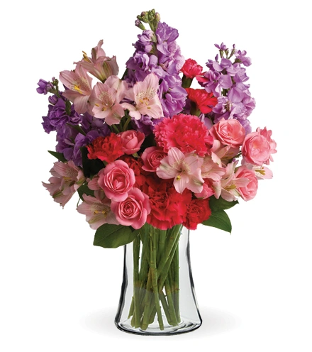 トップス Maurolian Citrus Smiles | Blooms Today
