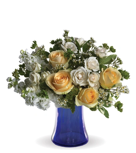 Celestial Love | Blooms Today