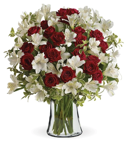 Endless Romance | Blooms Today