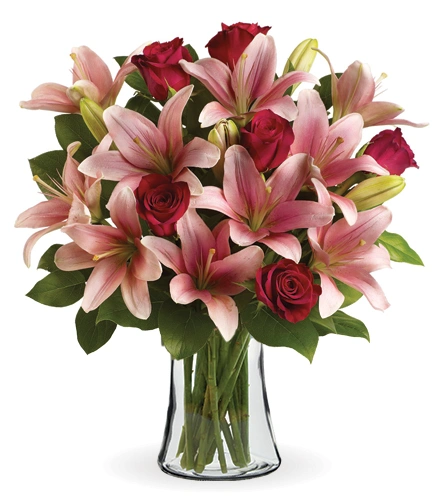sui　0324 Magnificent Mauves | Blooms Today