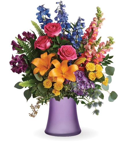 Hydrangea4937　1003 Hydrangea4937 1003 Hydrangea Macrophylla Tokyo Delight