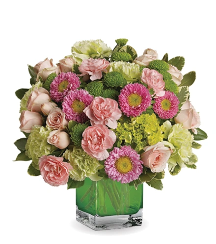 Make Her Day | Blooms Today