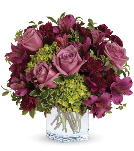 Splendid Surprise | Blooms Today