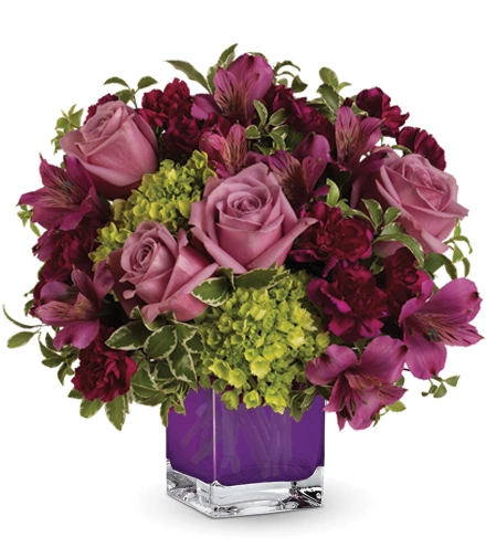 Splendid Surprise | Blooms Today