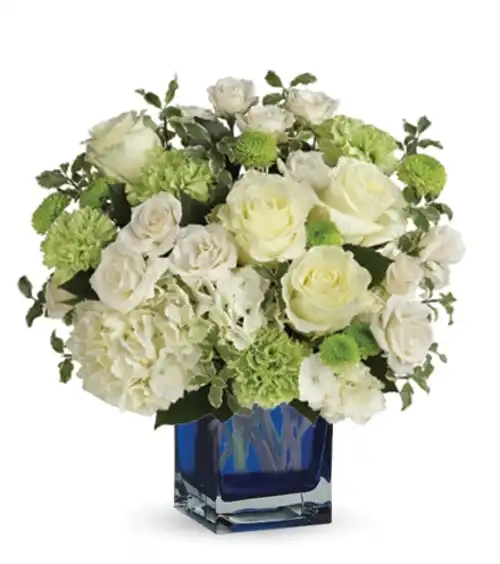 Shining On | Blooms Today
