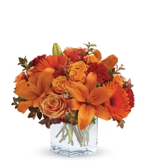 Sunrise Sunset | Blooms Today