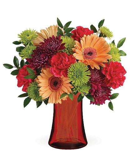 Fleurir3ページ Mid Mod Brights | Blooms Today