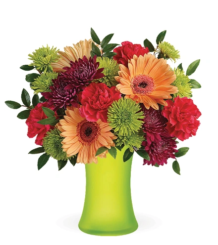 Mid Mod Brights | Blooms Today