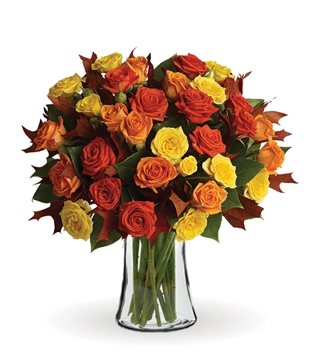 Fabulous Fall Roses