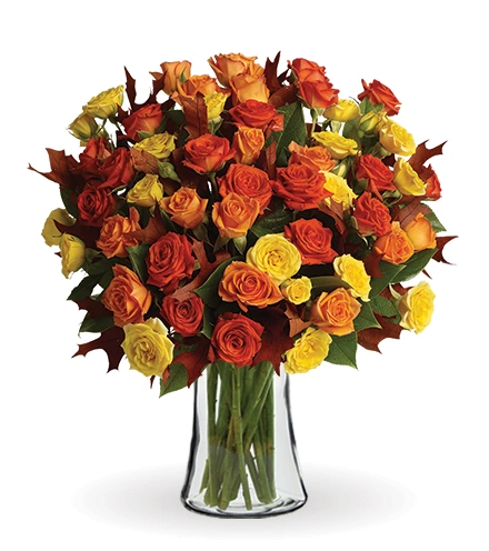 Fabulous Fall Roses | Blooms Today