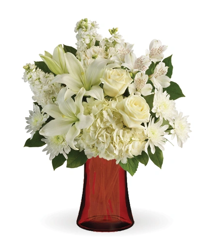 Shining Spirit | Blooms Today