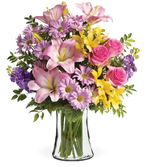 Bright Life | Blooms Today