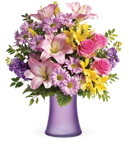 モーニングデイ Bright Life | Blooms Today
